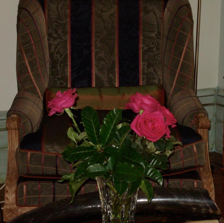 Cotter House Luxury Retreat Bed & Breakfast Auckland Dış mekan fotoğraf